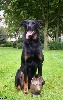  - Journee Beauceronne